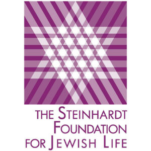 Steinhardt Logo 300x300